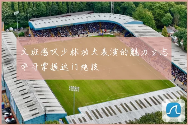 文班感叹少林功夫表演的魅力立志学习掌握这门绝技